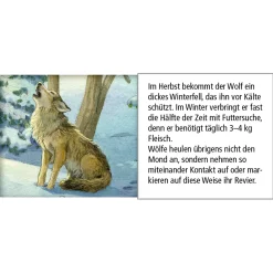 Advent Calendar "Animals In The Winter Forest"