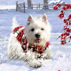 Advent Calendar "Dog Christmas"