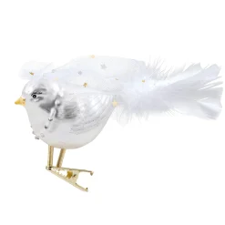 Bird Bride