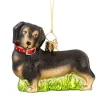 Dachshund