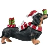 Dachshund With Gifts