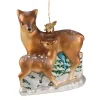 Deer With Fawn