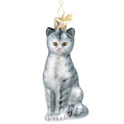 House Cat