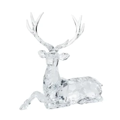Lying Deer
