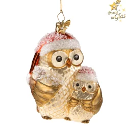 Mother Owl With Child