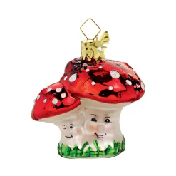 Mushrooms With Ladybug