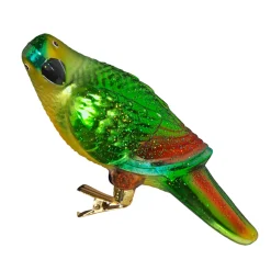 Parrot