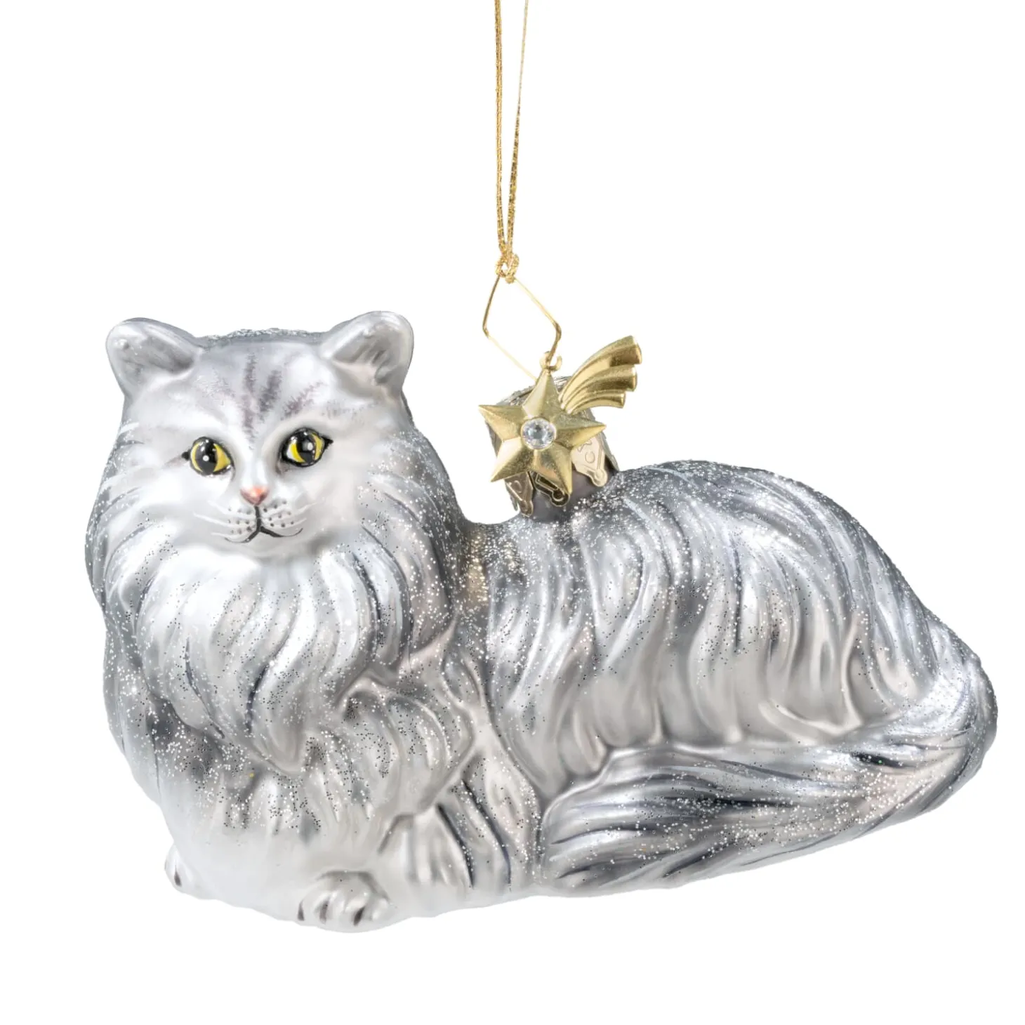 Persian Cat