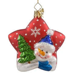 Portrait Star Snowman
