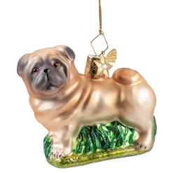 Pug
