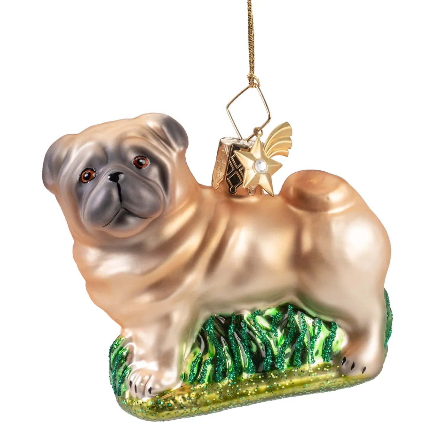 Pug