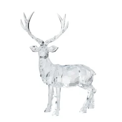 Standing Deer