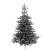 Tree Grandis Fir Snowy, 47.24 Inch