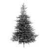 Tree Grandis Fir Snowy, 59.0 Inch