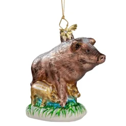 Wild Boar Family